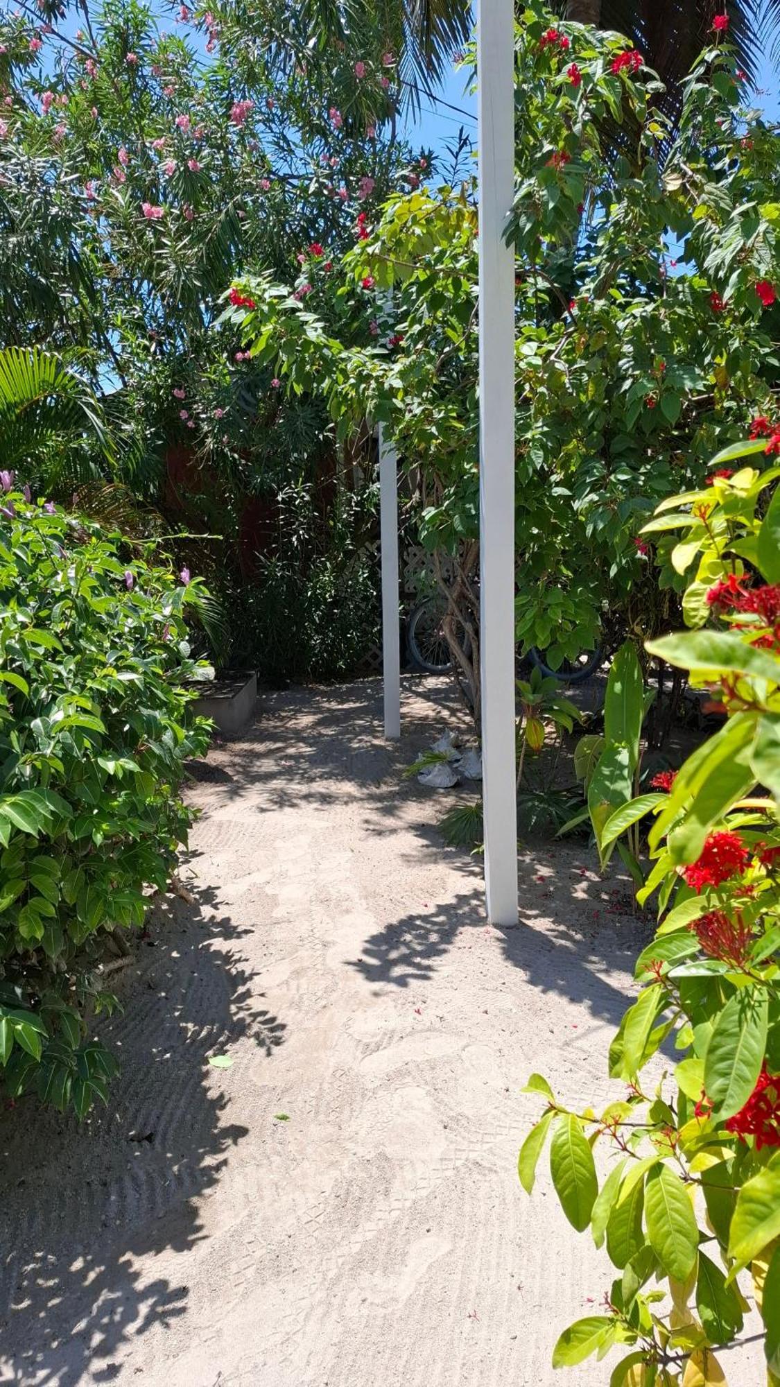 Amanda'S Place Casa Amancer - Sea View, Pool And Tropical Garden Caye Caulker Exterior photo